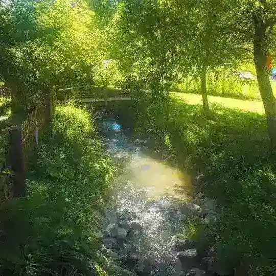 𝖧𝖾𝗅𝗉 𝗉𝖾𝗈𝗉𝗅𝖾 𝗐𝗂𝗍𝗁 𝗉𝗋𝗈𝖻𝗅𝖾𝗆𝗌 𝖼𝗈𝗇𝖿𝖾𝗌𝗌𝗂𝗈𝗇 🍃