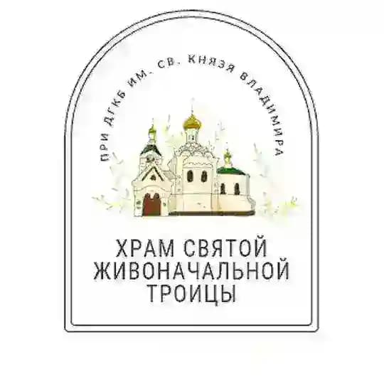 Храм Св.Троицы при ДГКБ св. кн. Владимира