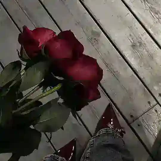 قناة ستوࢪيات🫠🍓