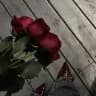 قناة ستوࢪيات🫠🍓