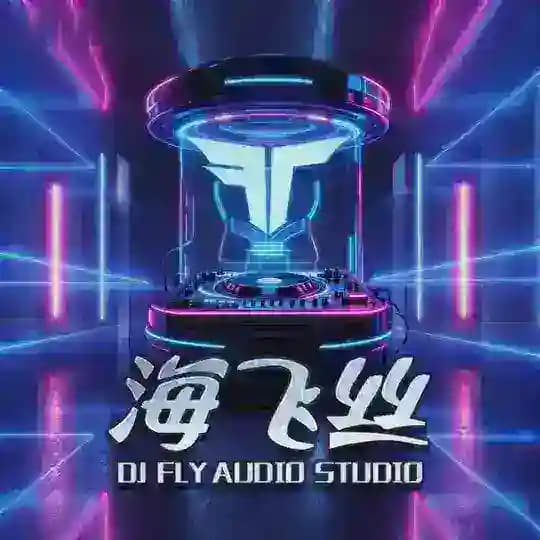 DJFLY海飞丝私房音乐频道🔊