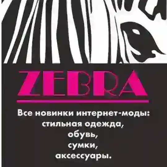Zебра26_