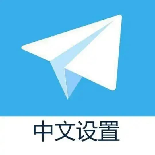 简体语言 中文语言设置 汉化语言包 中文包安装 Profile