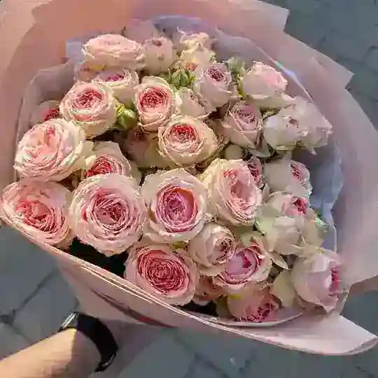 Фото та відео для сторіс🫀💋