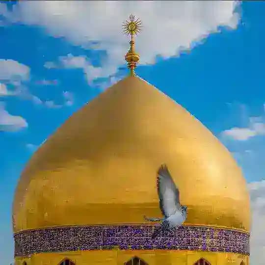 حُـب عـلـي يَجمعنِا🤍.