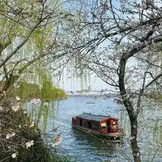 湖州🦖智能导航