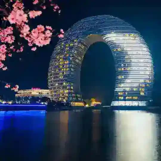 湖州🦖营业厅Top2