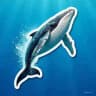 WHALES CALLS