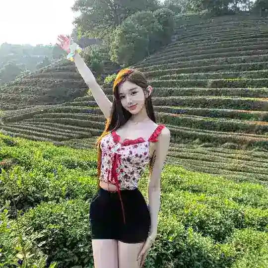 天天脱衣-Ai换脸/脱衣（只发精品）