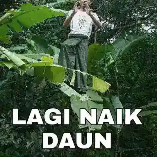 JASA FREE || masih open 24jam