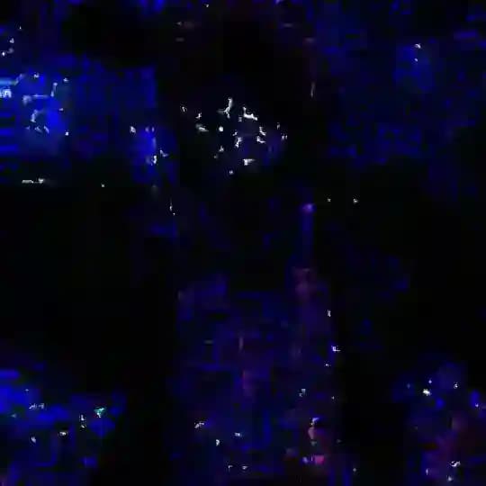 Инфо Еблоняши🌌