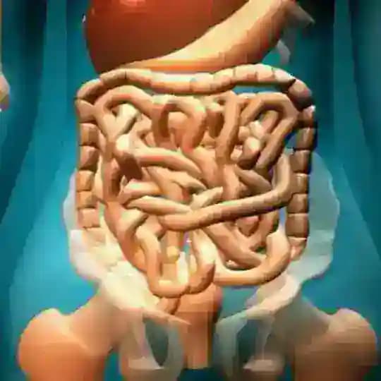 ibs سندروم روده تحریک پذیر ibs گوارش کولیت