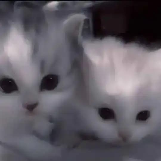 самые красивые