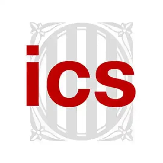 Info Professionals ICS Profile