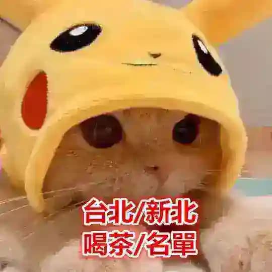 台北/新北妹妹類型及價位喝茶小棧每日更新中ing