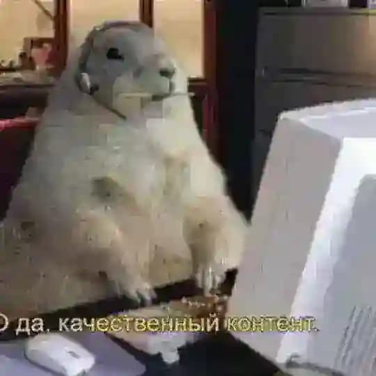 Психика в мемах