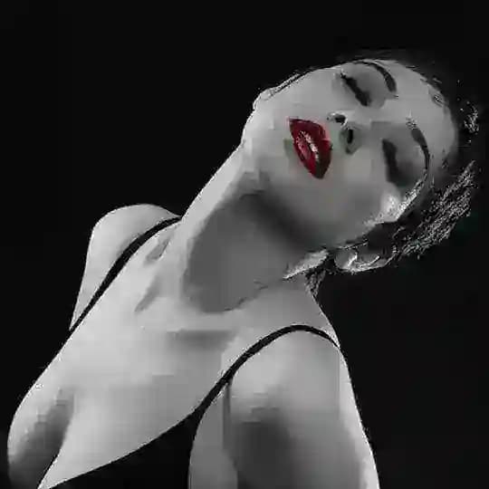 Türk Ünlü Liseli Arayış Profile