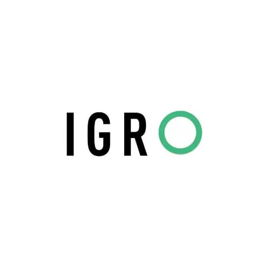 IGRO. Отвечаем за слова