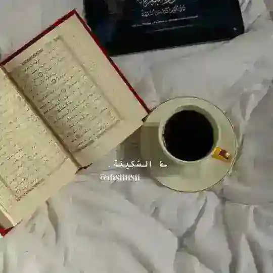 ݺ السَّكِينة. Profile