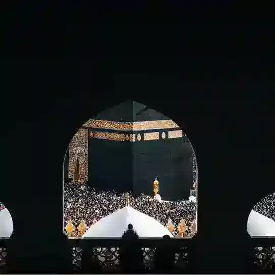 ربيع القلوب 🌴🤍