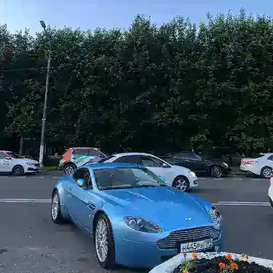 Minibutko life