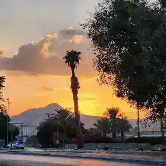 اريحا Jericho 24