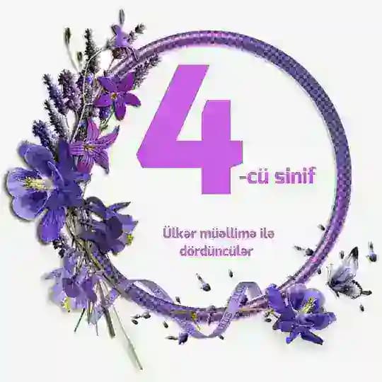 4-cü sinif testlər/Ülkər Hatəmova Profile