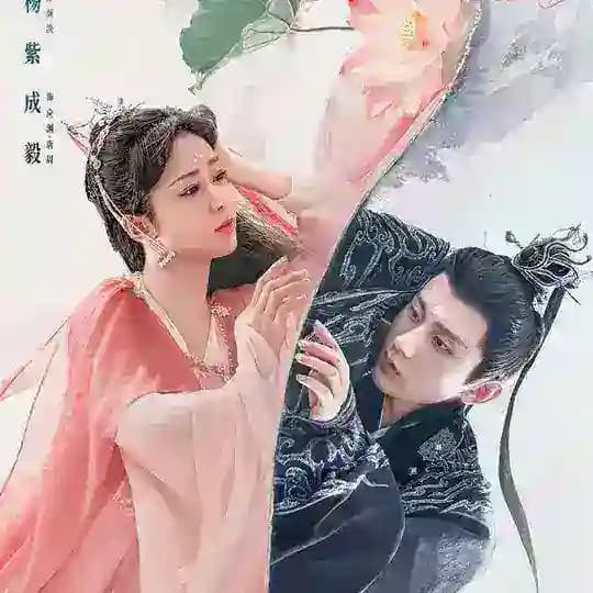 Immortal Samsara Mmsub Profile