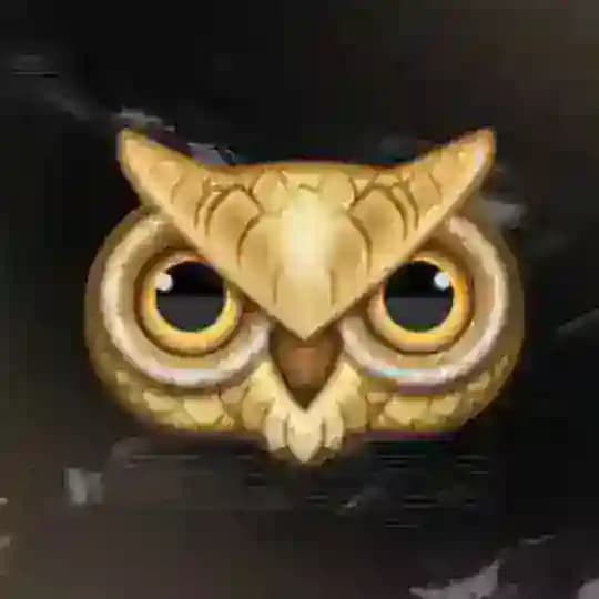 1ncicaps