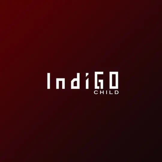 인디고차일드 코인&경제 그룹 (Indigochild korea crypto community)