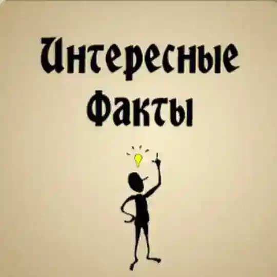 Интересные факты