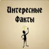 Интересные факты