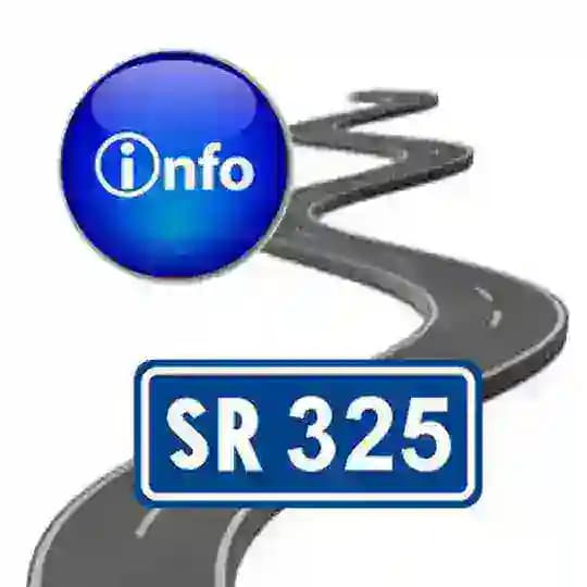 Info325