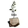 КБС | In Folio 🍃🗞️