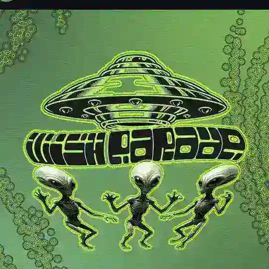 INFO WISHPARADE Profile