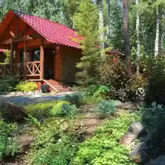 Сердце Алтая