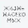 Жизнь насекомых. Спектакль