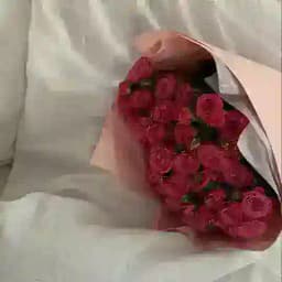 Foto Video 🍑 Profile