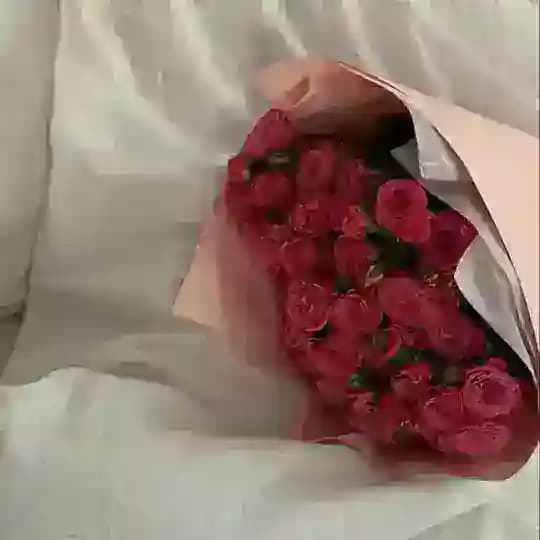 Foto Video 🍑 Profile