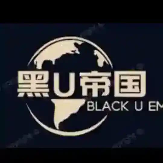 黑U帝国 USDT赚钱 USDT搬砖 黑U洗货