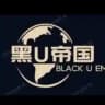 黑U帝国 USDT赚钱 USDT搬砖 黑U洗货