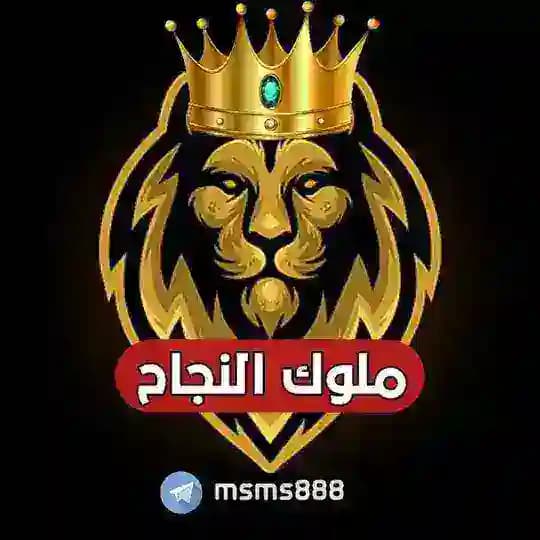 ملوك النجاح