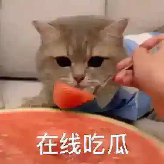 电报色情吃瓜