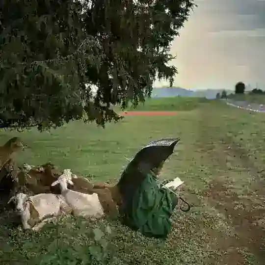 @islamic_Books500 Profile