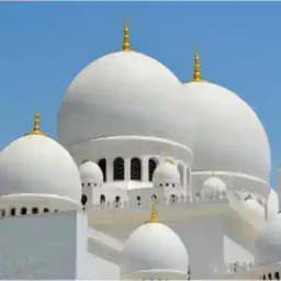 Muslim Words Profile