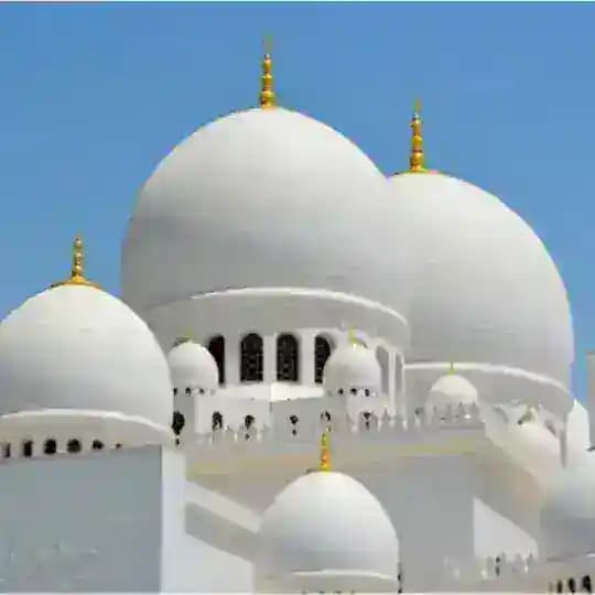 Muslim Words Profile