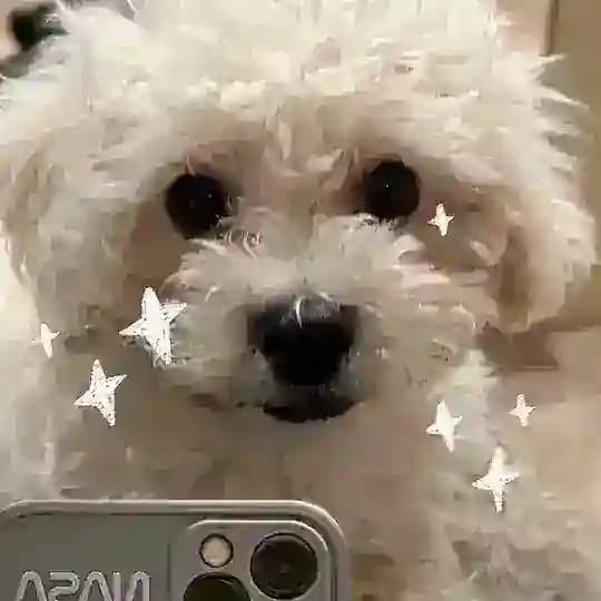 周周不可爱🥴