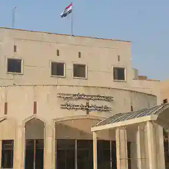 تبليغات ، اعلانات خطوط وشقق ، جامعة ابن سينا
