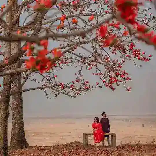 🌿🍃প্রকৃতির ছোঁয়া🍃🌿