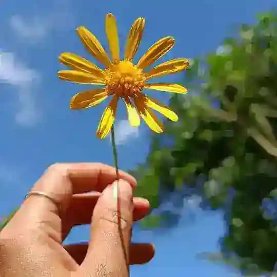 ഇതളെഴുത്തുകൾ🥀 Profile